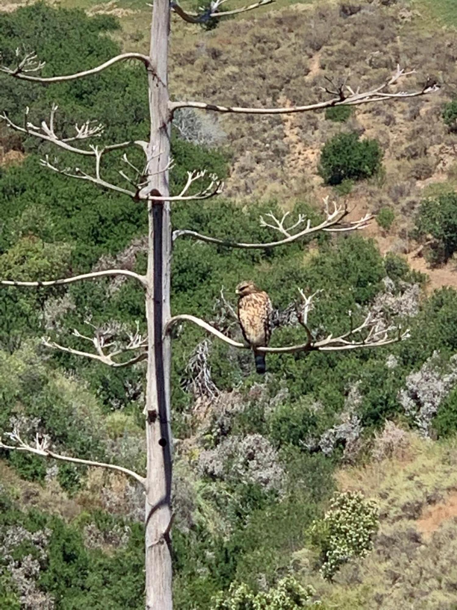 Holiday home Canyon View Cutie